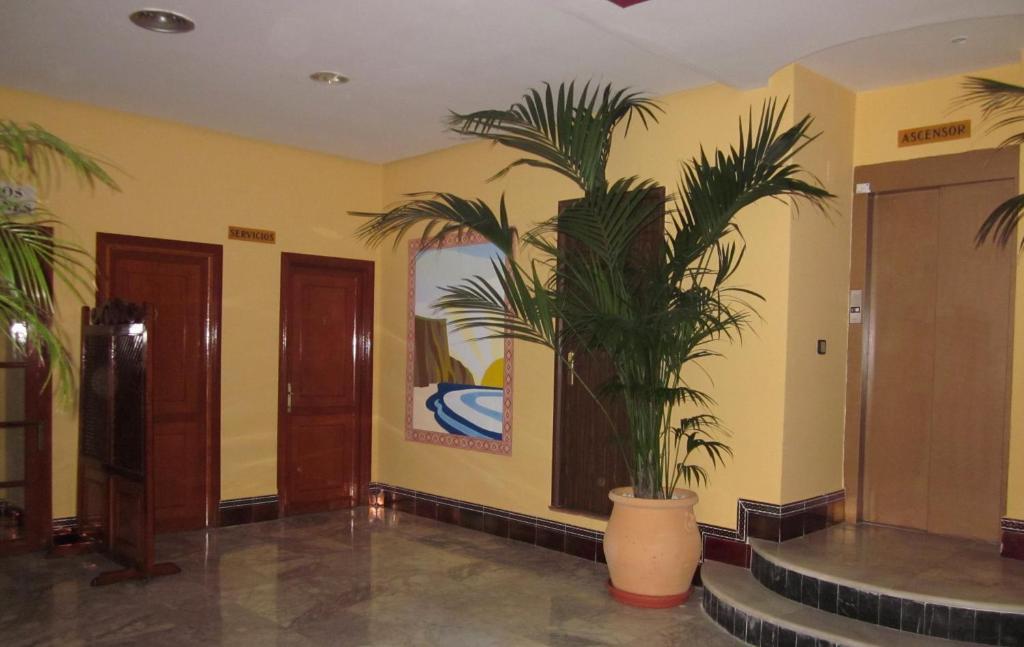 Hotel San Vicente - Centro Playa Коніль-де-ла-Фронтера Екстер'єр фото